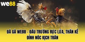 da-ga-we88-dau-truong-ruc-lua-than-ke-dinh-noc-kich-tran