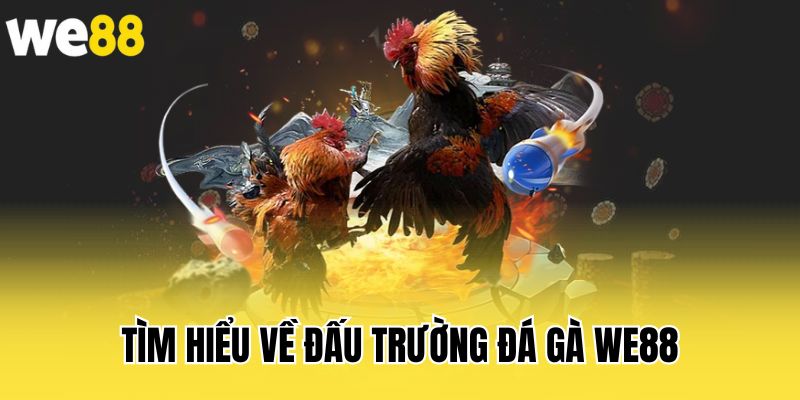 tim-hieu-ve-dau-truong-da-ga-we88